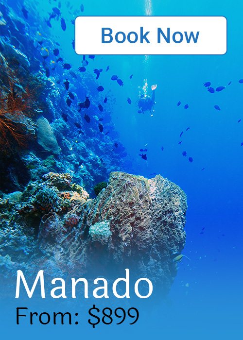 Diving In Indonesia - Book Now Manado