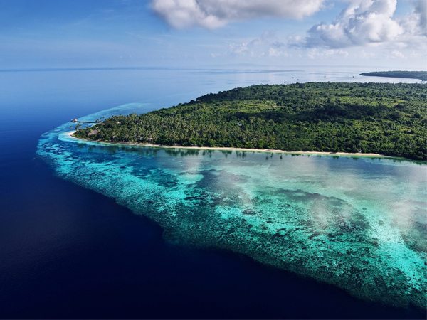 Diving in Wakatobi island|Diving in Indonesia