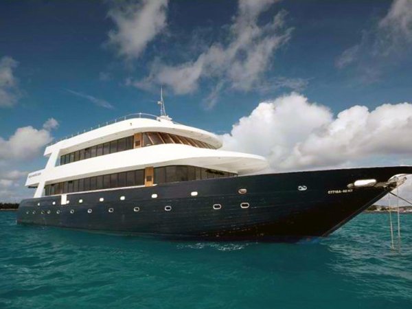 MV Manta Cruise|Diving in Maldives